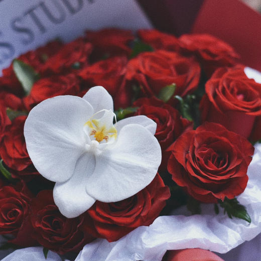 《朱砂痣》传奇红玫瑰花束 商品图7