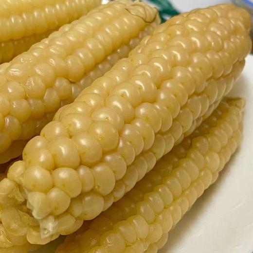 西双版纳老品种 珍珠拇指 小玉米 2斤/4斤装 商品图3