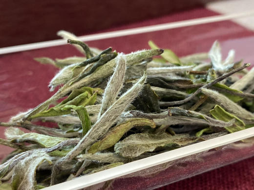 福鼎白茶 ｜ 牡丹王（2023高山·珍品） 商品图3