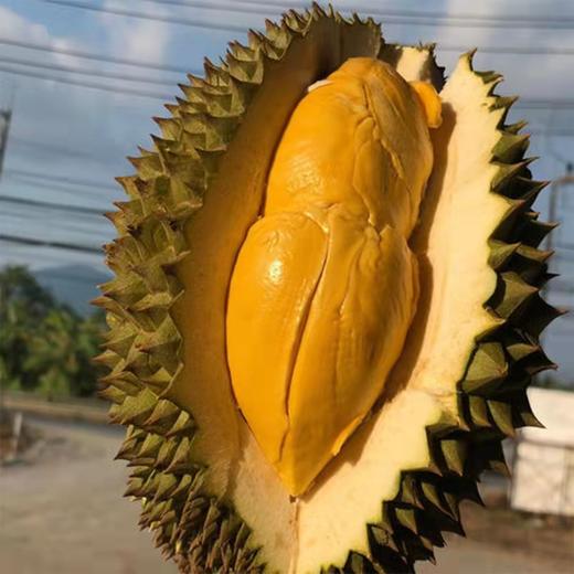 泰国托曼尼巴掌榴莲 猫山王巴掌榴莲 商品图6