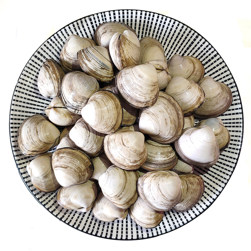 【鲜活】大白蚬子   （送货路上不保活）　