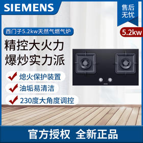 西门子燃气炉ER8PF233MP