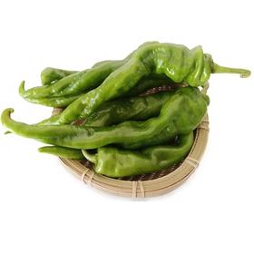 螺丝椒