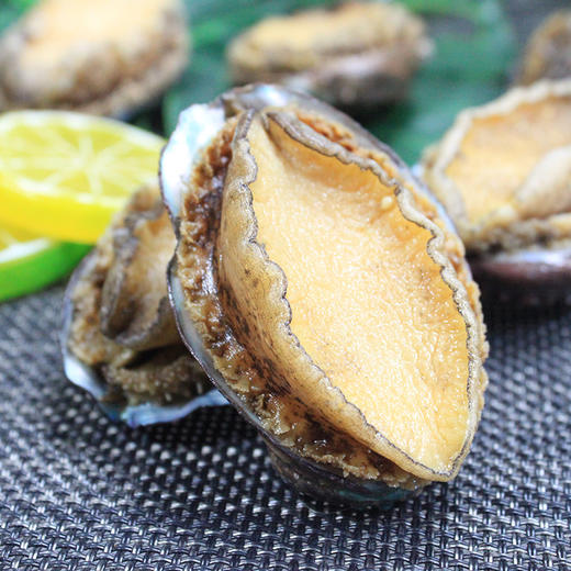 大号鲍鱼    商品图1