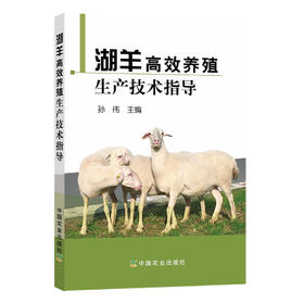 【中国农业出版社官方正版】湖羊高效养殖生产技术指导 孙伟
