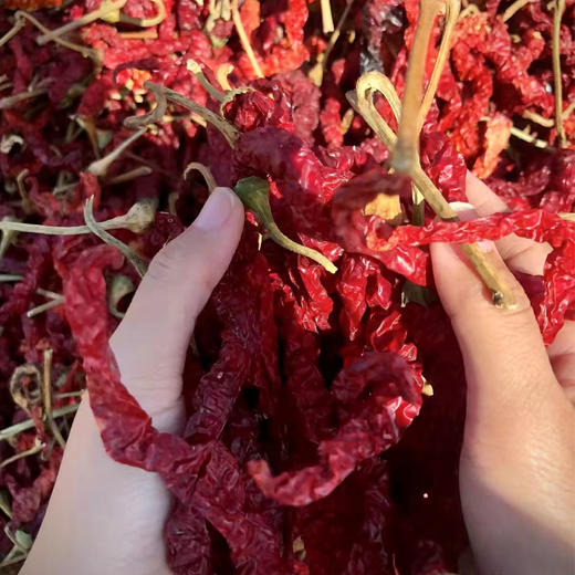 新疆辣皮子【厨师的“机密档案”】 时光倏忽，口味难离，也许味道才是一个人与世界最紧密的联结。新疆安集海辣皮子,让人望而生畏却口舍生津的三餐制胜武器。 商品图1