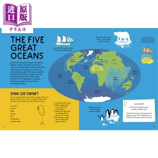 【中商原版】My First Fact File Oceans:Everything you Need to Know 我的海洋事实档案：你需要知道的一切 Wesley Robins绘 商品图2
