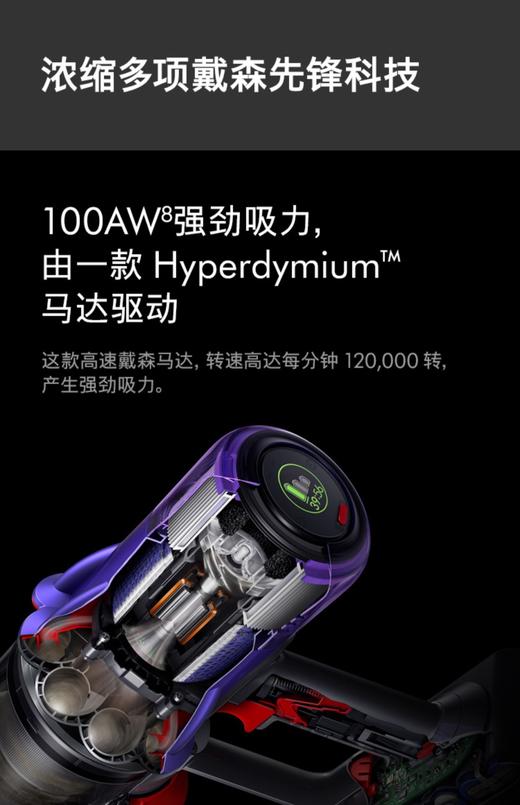 1F dyson戴森无绳吸尘器 2022款V10SlimFluffy 商品图1