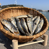 &🔥当季巴浪鱼干🐟品质好，口感好👍爆炒香辣入味，当下酒菜，可不要太好吃了😋 商品缩略图8