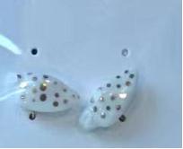 小鱼耳钉 商品图0