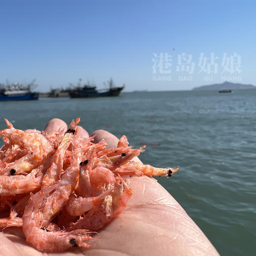 港岛姑娘 精品红虾皮新鲜淡干皮虾干红鳞虾干皮软有肉无骨无刺干香十足 100g/包 商品图1