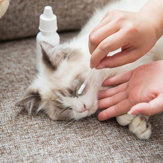 逸诺狗狗猫咪眼药水抗菌消炎去泪痕宠物猫用猫鼻支比熊眼睛发炎结膜炎 商品图1