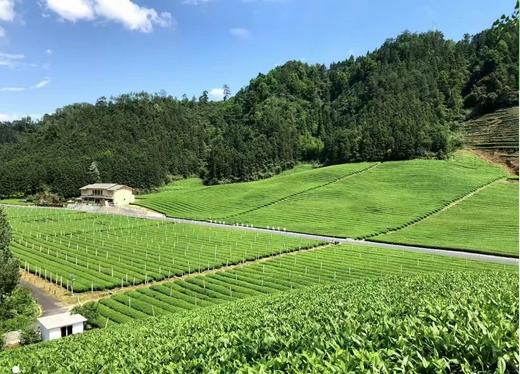 抹茶庄园礼盒（抹茶粉抹茶面茶皂礼盒套装） 商品图3