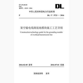 【按需印刷】DL/T5733-2016 架空输电线路接地模块施工工艺导则
