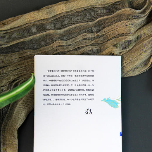 山水（冯至文存） 商品图6