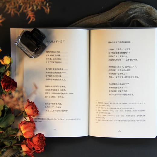 海涅诗选（冯至文存） 商品图7