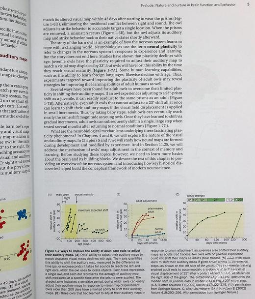 预售 【中商原版】神经生物学原理 英文原版 Principles of Neurobiology Liqun Luo 骆利群 斯坦福大学教授 神经科学 自然科学 商品图6