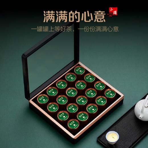 2026新茶春贡·小罐龙井礼茶 狮峰精品 国茶典范贡品茶 鉴赏级好茶100g 商品图4