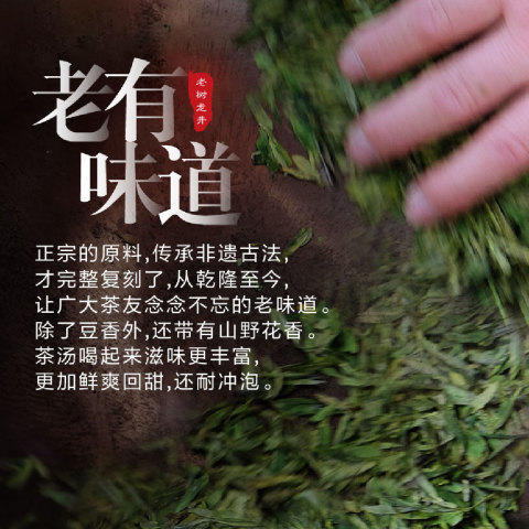 新茶大道至简 • 老树龙井125克（50包*2.5克） 商品图1