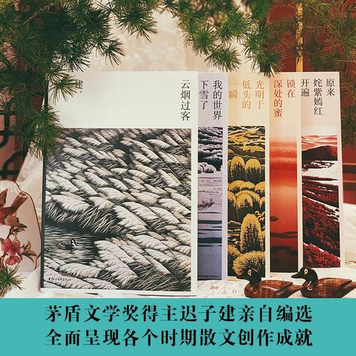 迟子建散文典藏(全5册) 商品图0