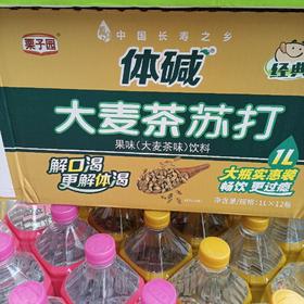 栗子园体碱大麦茶苏打水12瓶