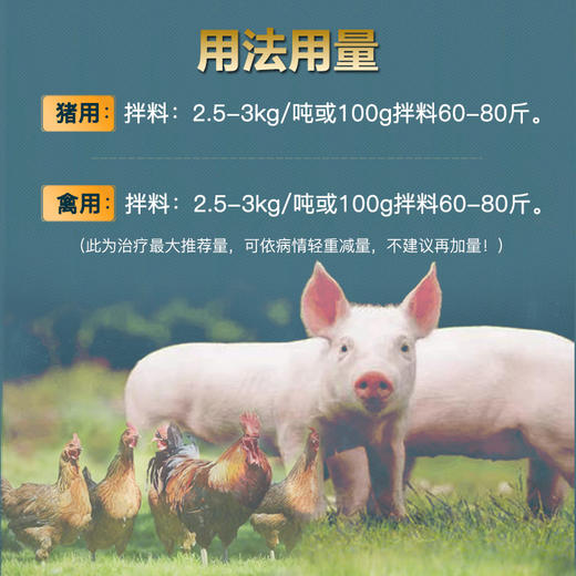 【达菌磺】巨龙动保敌菌磺10%磺胺氯达嗪钠粉100g 商品图2