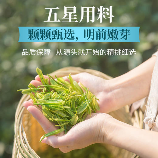 传奇会茶叶 新茶毛尖茶叶260g 高山云雾明前绿茶礼盒装 商品图1