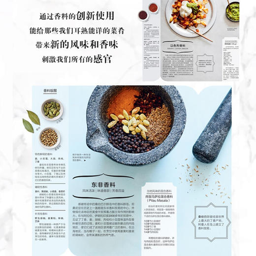 DK生活 香料科学 斯图尔特·法里蒙德 著 餐饮美食烹饪之道 香料品种大全 世界各地香料特点用法配制 创新香料风味搭配 厨师美食家西餐爱好者实用宝典 商品图2