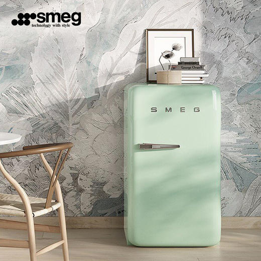 SMEG/斯麦格 意大利复古 中号冰箱 FAB10 商品图1