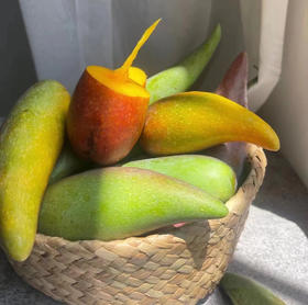 树上熟辣椒芒 4斤礼盒装 彩虹芒