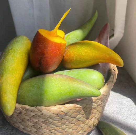 树上熟辣椒芒 4斤礼盒装 彩虹芒 商品图0