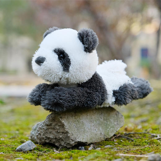 大熊猫拍拍手环 商品图1