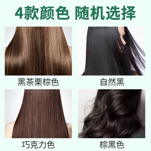 百年扁氏易梳彩黑 商品图2