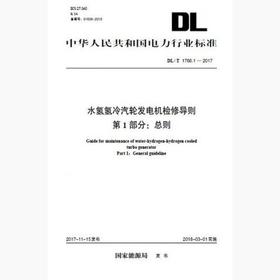 【按需印刷】DL/T1766.1-2017 水氢氢冷汽轮发电机检修导则第1部分：总则(英文版)