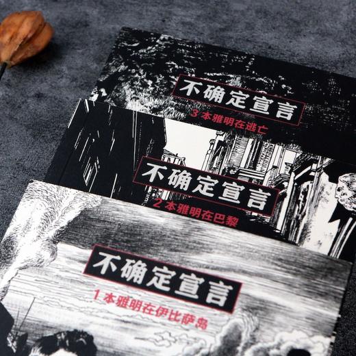 (仓发) 不确定宣言/四川文艺出版社/费德里克·帕雅克/9787541160752 商品图6