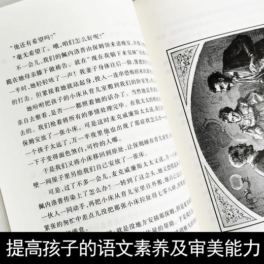 人民文学出版社 中小学必读任选 人类群星闪耀时 战争与和平 商品图3