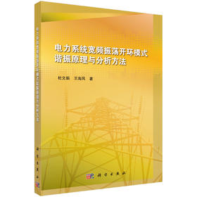 (仓发) 电力系统宽频振荡开环模式谐振原理与分析方法/科学出版社/杜文娟，王海风/9787030581129