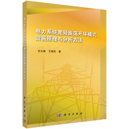 (仓发) 电力系统宽频振荡开环模式谐振原理与分析方法/科学出版社/杜文娟，王海风/9787030581129 商品图0