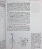 预售 【中商原版】神经生物学原理 英文原版 Principles of Neurobiology Liqun Luo 骆利群 斯坦福大学教授 神经科学 自然科学 商品缩略图7