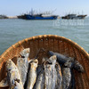 &🔥当季巴浪鱼干🐟品质好，口感好👍爆炒香辣入味，当下酒菜，可不要太好吃了😋 商品缩略图3