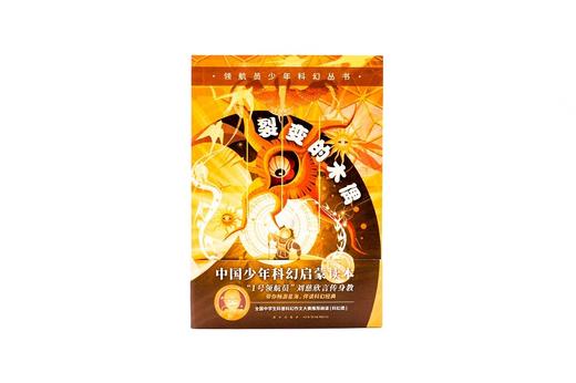 (仓发) 领航员少年科幻丛书 裂变的木偶/新星出版社/9787513346153 商品图2