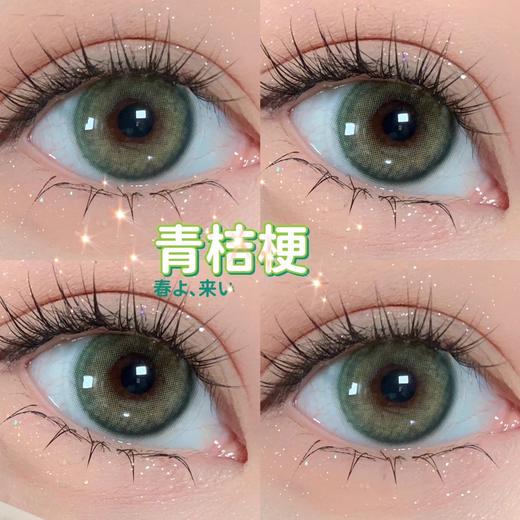 sntty 年抛 青桔梗 商品图7