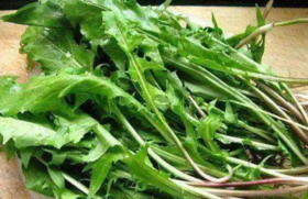 它是初春“抗炎菜”，还能保肝散结，调节免疫，老人吃最好～ 