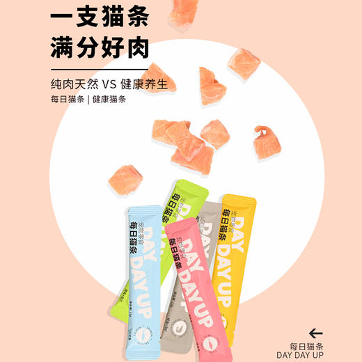 【新客福利】金多乐每日猫条12g*4支 商品图2