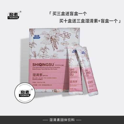 臻皙 湿清素十盒装送湿清素三盒+盲盒一个|4月28日统一发货[D类] 商品图0