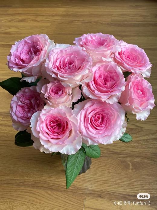 双柏洛神 商品图0