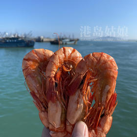 港岛姑娘 精选特级大斑节虾