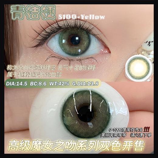 sntty 年抛 青桔梗 商品图9