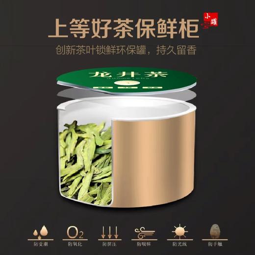 2026新茶春贡·小罐龙井礼茶 狮峰精品 国茶典范贡品茶 鉴赏级好茶100g 商品图2