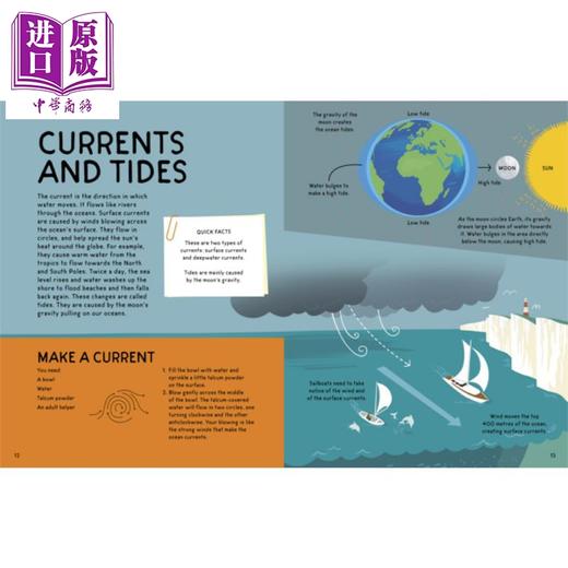 【中商原版】My First Fact File Oceans:Everything you Need to Know 我的海洋事实档案：你需要知道的一切 Wesley Robins绘 商品图1